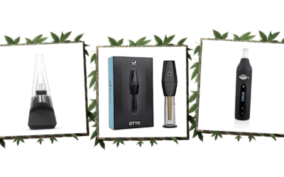 3 coole Cannabisgeschenke nur für Kiffer (Stoner)