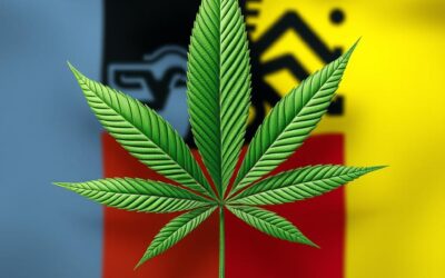 Baden-Württemberg macht den Anfang: Erste Cannabis Social Clubs in Deutschland genehmigt