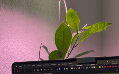 🌱 USB LED Growlampe: 5V starke LED Technologie für einen günstigen Einstieg