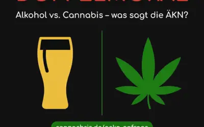 Start 1 Mehr als 74.000 Tote pro Jahr – und Cannabis ist das Problem? Die Alkohol-Doppelmoral der ÄKN