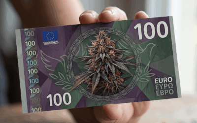 Der neue Euro und die Frage, die die EZB nicht stellt: Was, wenn Cannabis mit auf den Schein gehört?