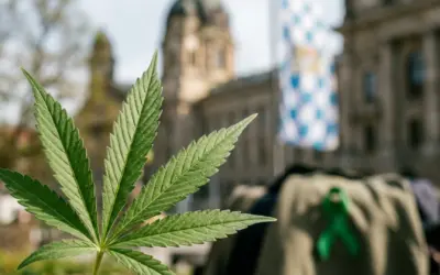Cannabis in Bayern: Gesetze, Sozialclubs und der bayerische Sonderweg