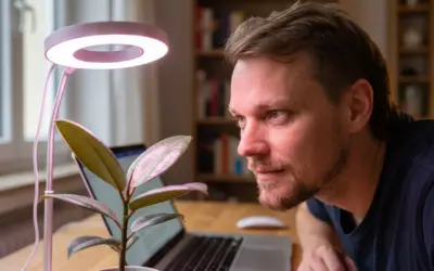 Cannabis als Zimmerpflanze: Mini-Homegrow am Schreibtisch mit USB-LED-Growlampe